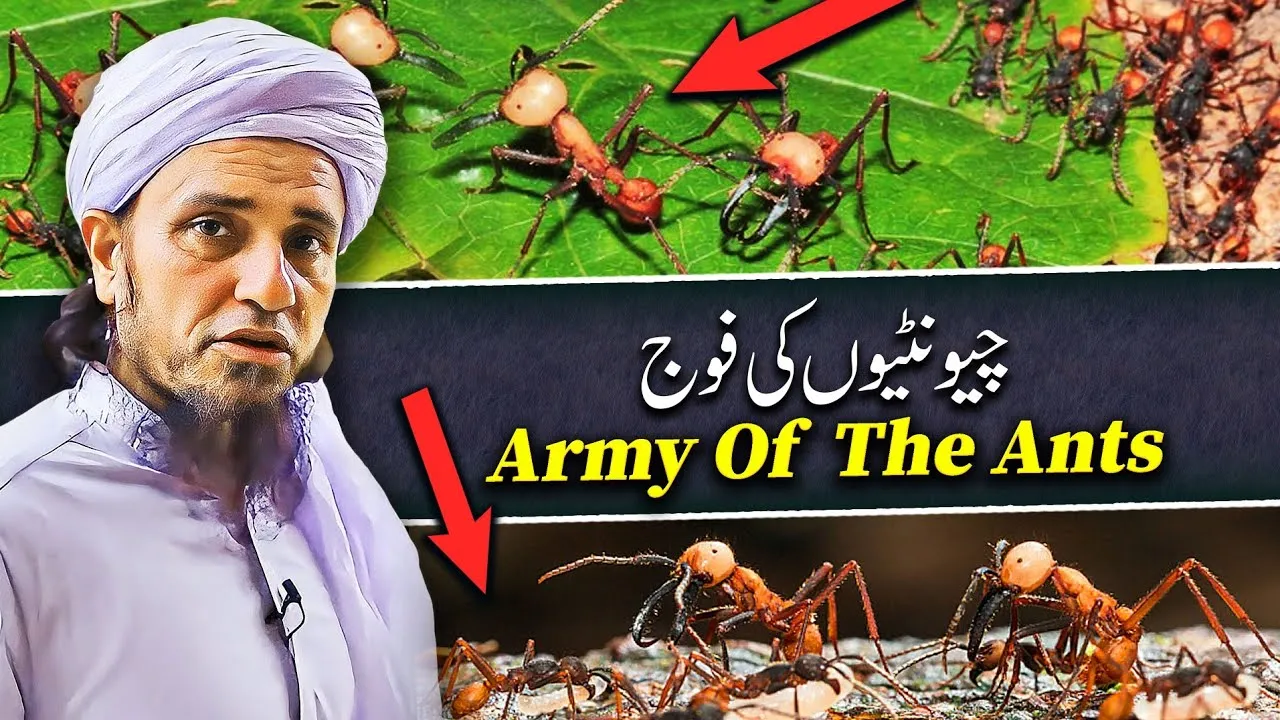 Army Of The Ants | Mufti Tariq Masood Speeches